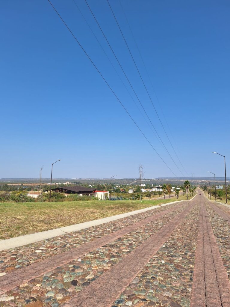 WhatsApp Image 2024-11-28 at 10.41.11 AM (1)