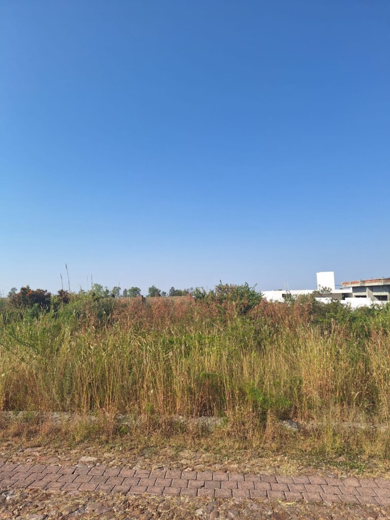 WhatsApp Image 2024-11-28 at 10.41.11 AM (2)