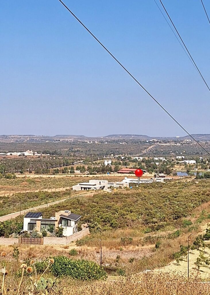 WhatsApp Image 2024-11-28 at 10.41.11 AM (3)