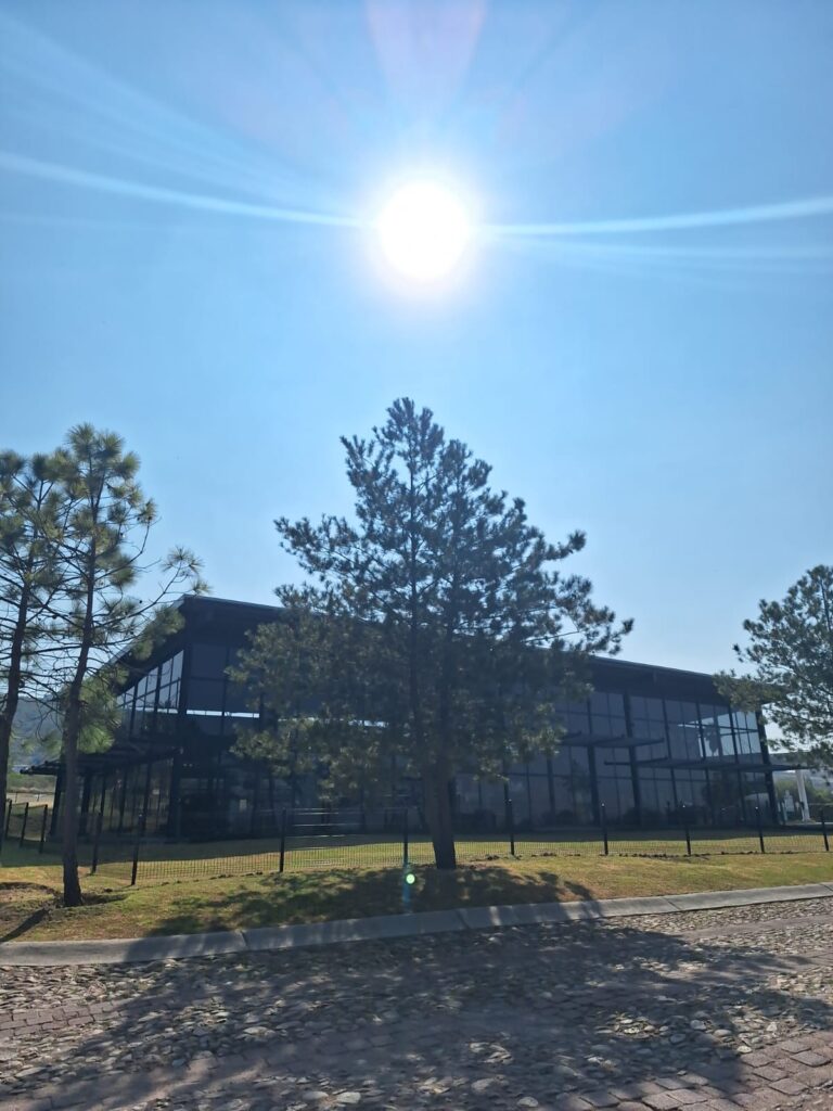 WhatsApp Image 2024-11-28 at 10.41.11 AM (4)