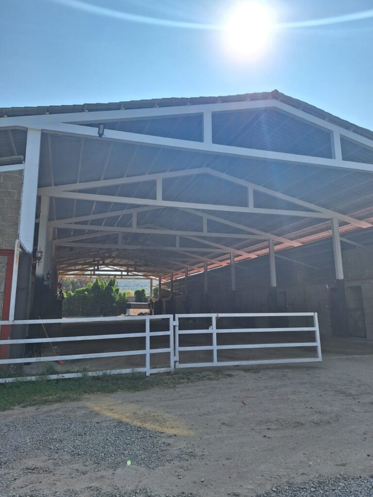 WhatsApp Image 2024-11-28 at 10.41.11 AM (5)