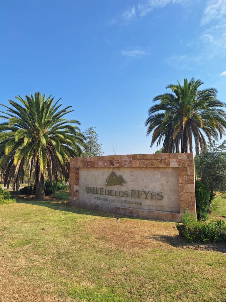 WhatsApp Image 2024-11-28 at 10.41.11 AM