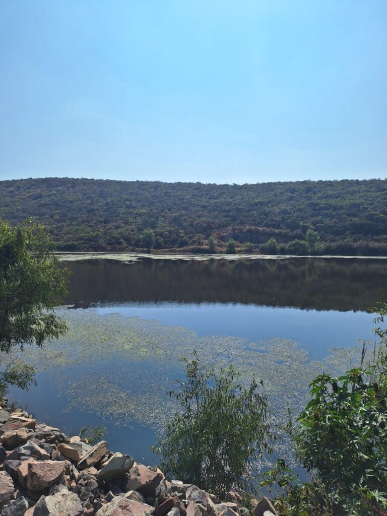 WhatsApp Image 2024-11-28 at 10.41.12 AM (3)