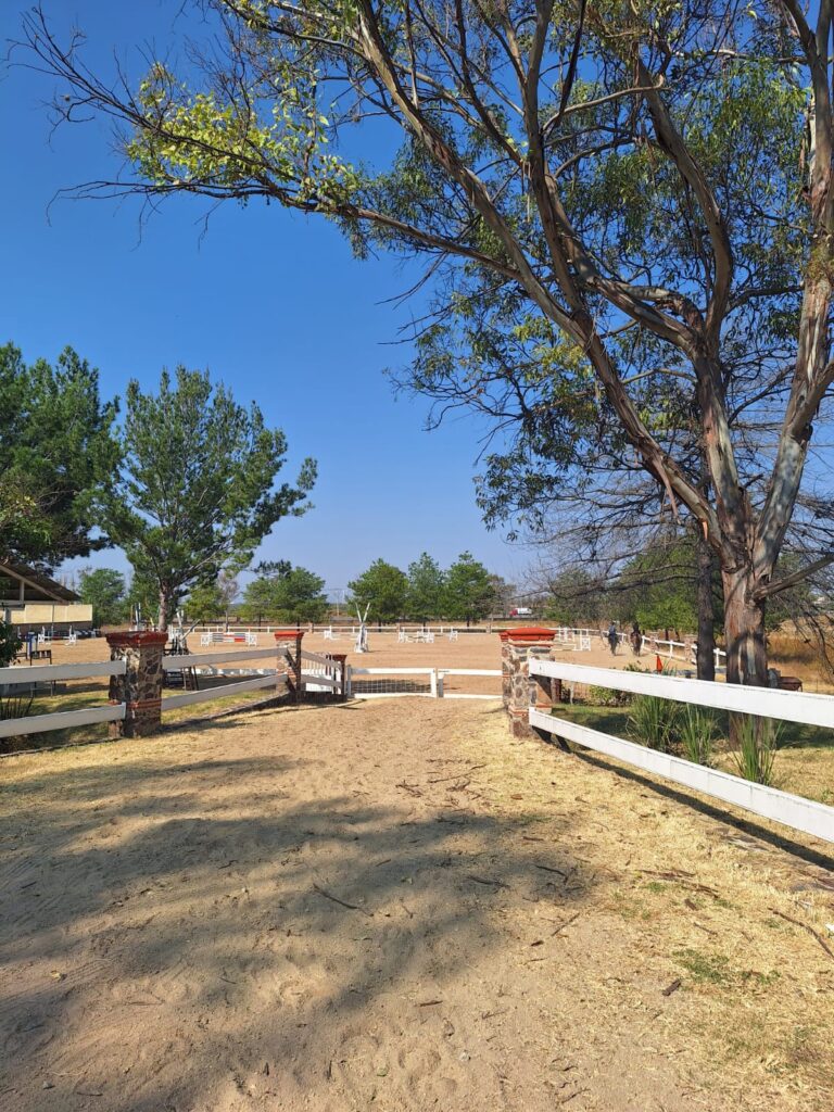 WhatsApp Image 2024-11-28 at 10.41.12 AM