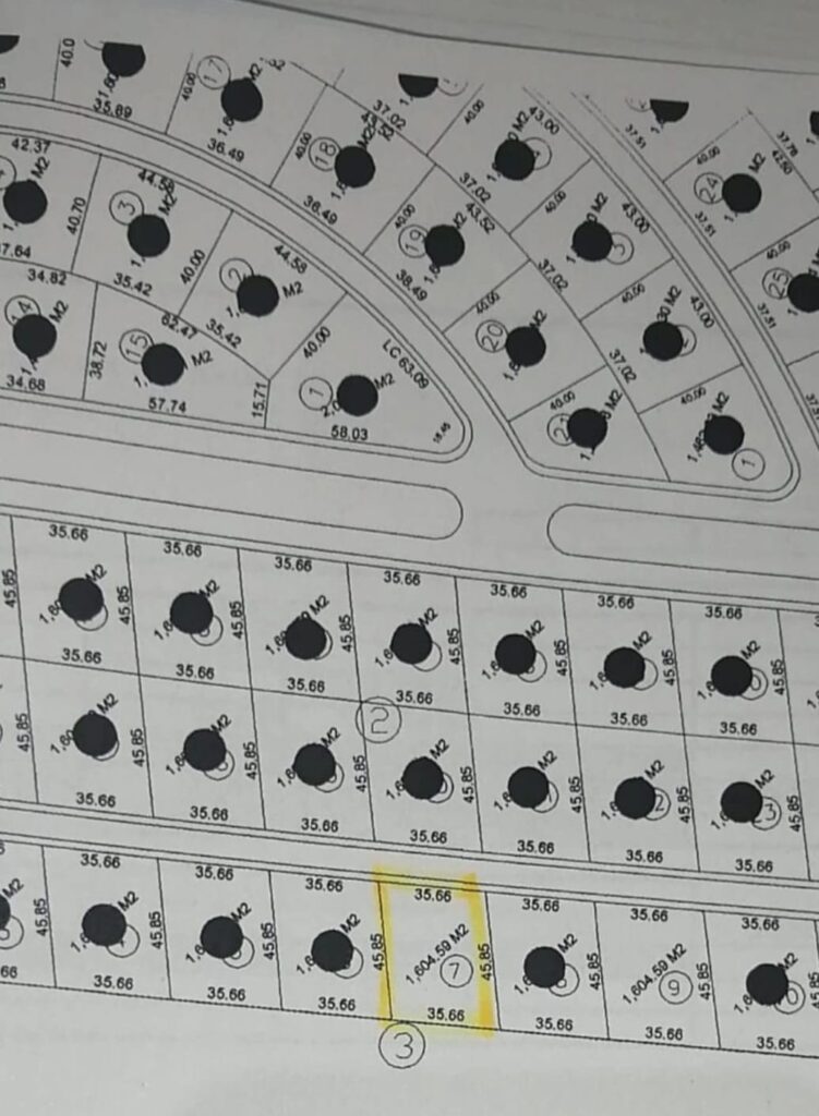 WhatsApp Image 2024-11-28 at 10.41.23 AM