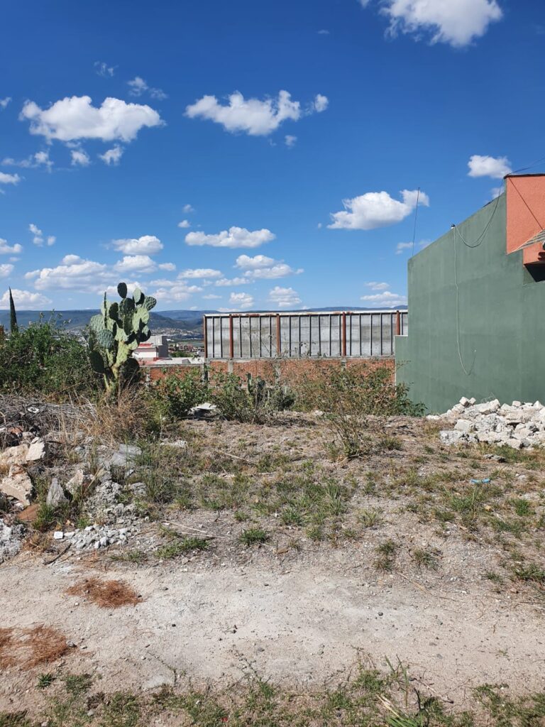 WhatsApp Image 2024-12-13 at 4.18.50 PM