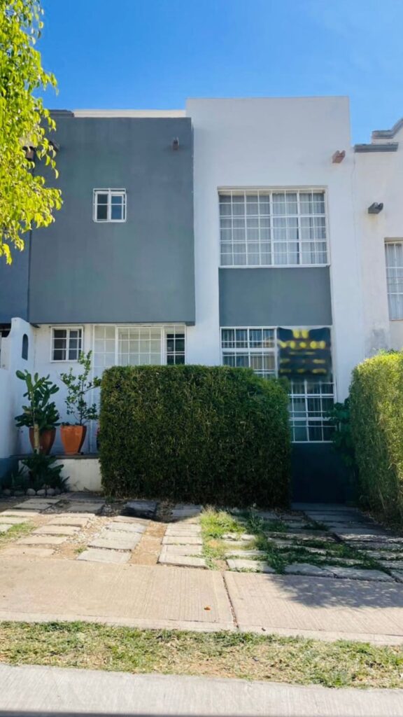 WhatsApp Image 2024-12-27 at 2.41.37 PM