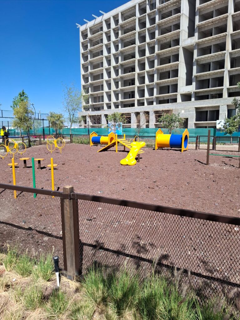 WhatsApp Image 2025-03-19 at 11.55.25 AM (4)