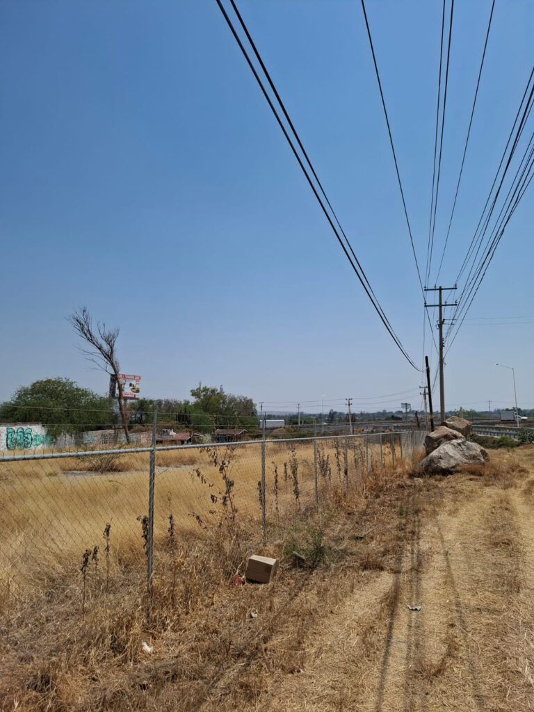 WhatsApp Image 2025-05-19 at 5.53.09 PM (1)