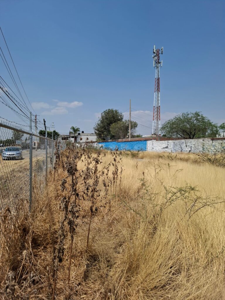 WhatsApp Image 2025-05-19 at 5.53.10 PM (1)