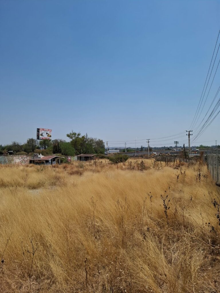 WhatsApp Image 2025-05-19 at 5.53.10 PM (2)