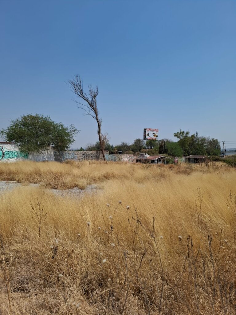 WhatsApp Image 2025-05-19 at 5.53.10 PM