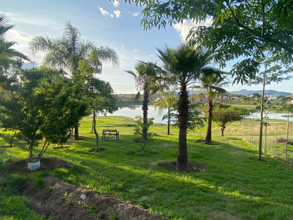 WhatsApp Image 2025-06-19 at 9.01.33 AM