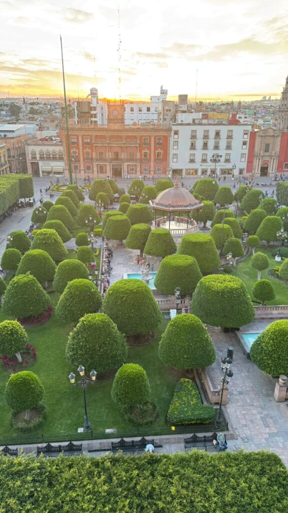 WhatsApp Image 2025-08-08 at 1.46.57 PM