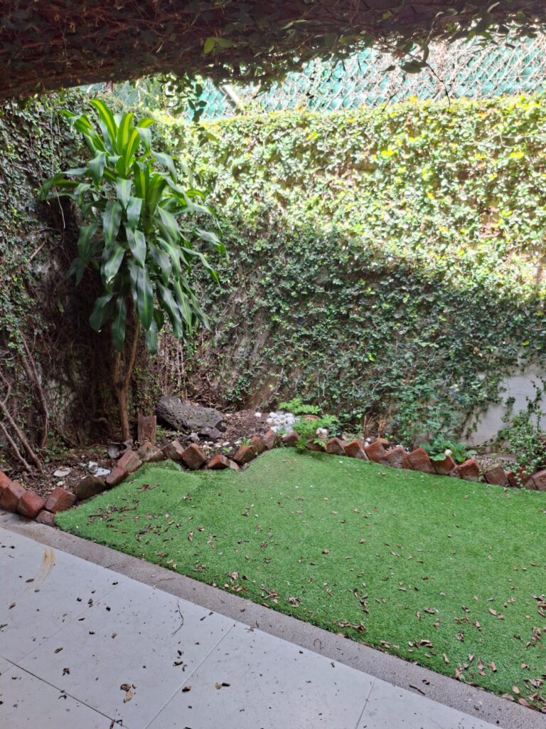 WhatsApp Image 2025-09-02 at 3.24.33 PM