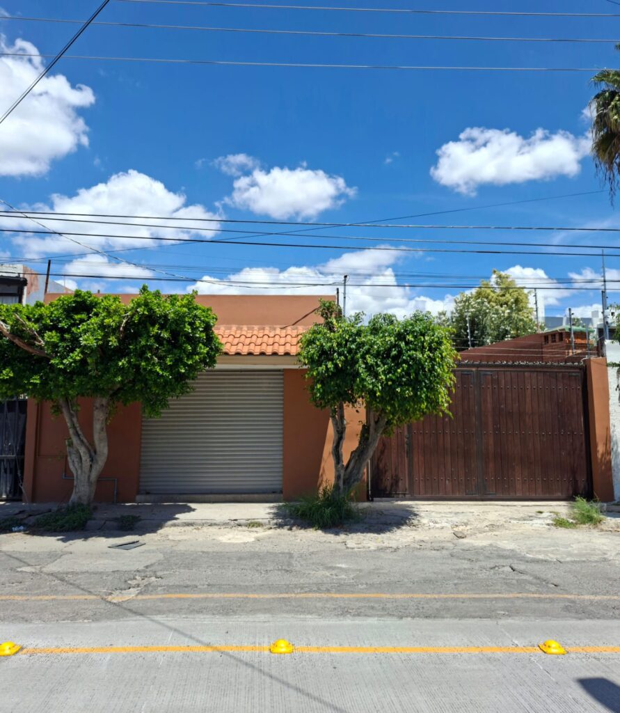 WhatsApp Image 2025-09-18 at 2.46.51 PM