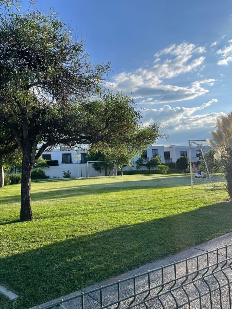 WhatsApp Image 2025-09-26 at 12.20.26 PM (3)