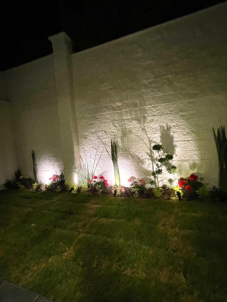 WhatsApp Image 2025-11-28 at 11.24.51 AM (5)