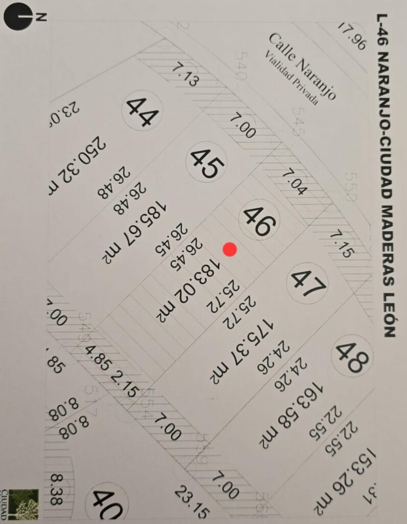 WhatsApp Image 2026-02-24 at 4.16.32 PM (1)