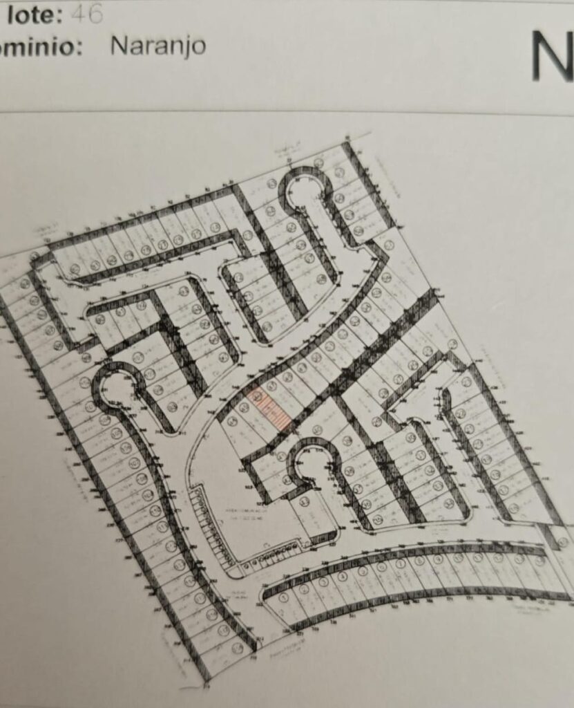 WhatsApp Image 2026-02-24 at 4.16.32 PM