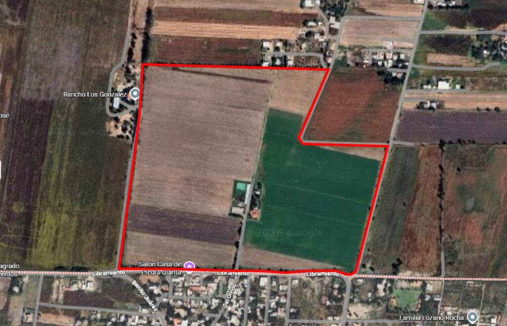 WhatsApp Image 2026-03-11 at 12.28.59 PM (1)