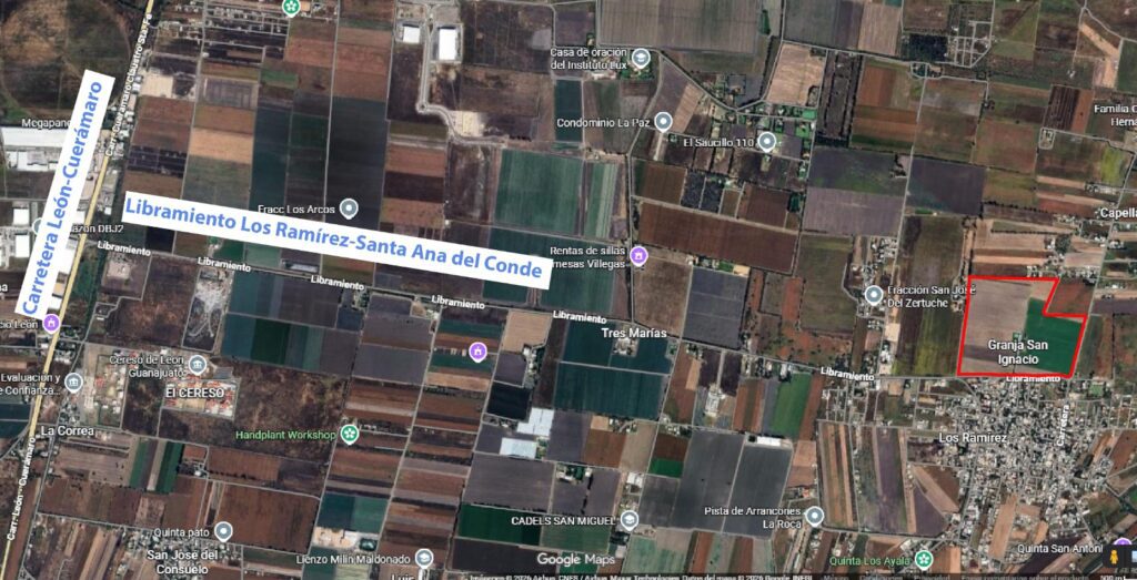 WhatsApp Image 2026-03-11 at 12.28.59 PM