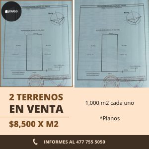 WhatsApp Image 2023-10-13 at 10.45.02 AM