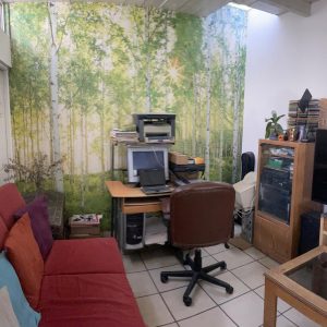 WhatsApp Image 2024-12-26 at 11.29.25 AM (1)