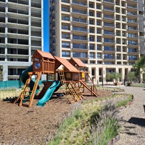 WhatsApp Image 2025-03-19 at 11.55.25 AM (3)