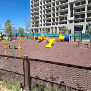 WhatsApp Image 2025-03-19 at 11.55.25 AM (4)