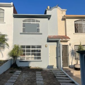 WhatsApp Image 2025-03-19 at 2.09.44 PM