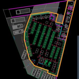 WhatsApp Image 2025-04-10 at 11.58.03 AM