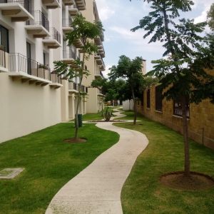 WhatsApp Image 2025-05-05 at 4.54.14 PM (1)