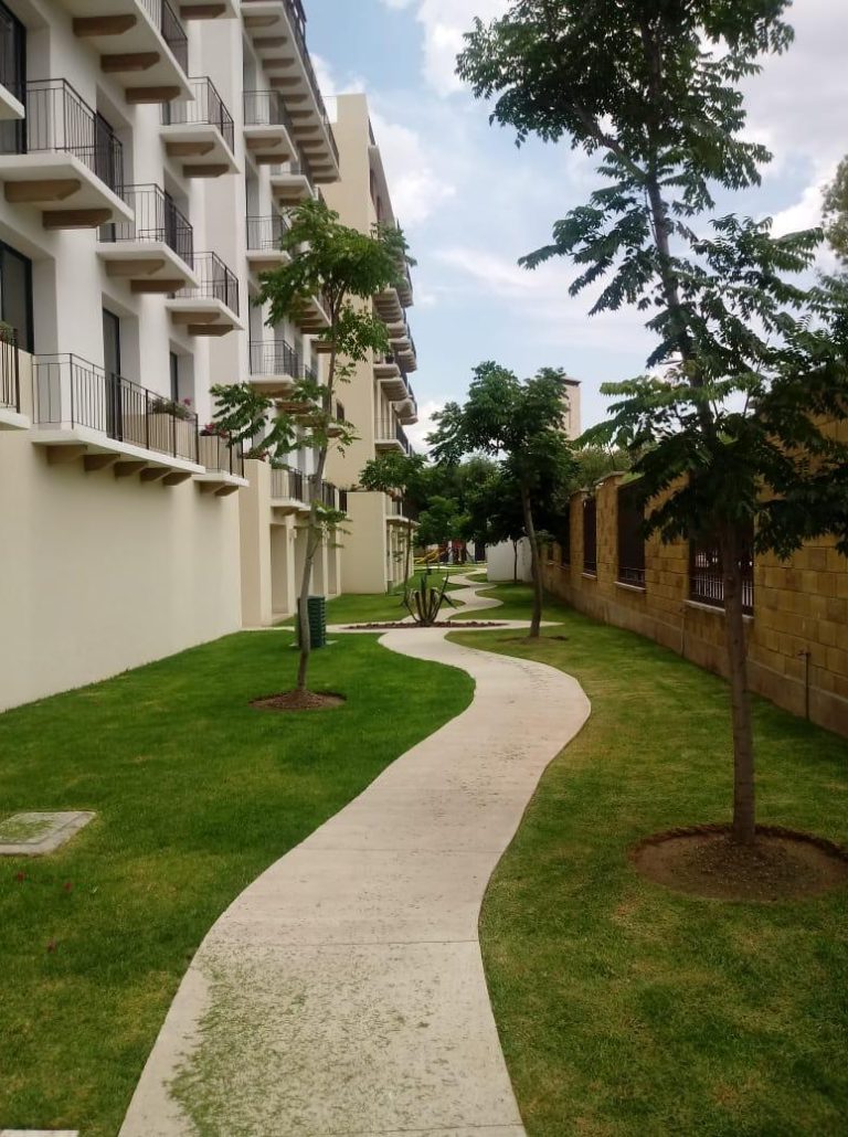 WhatsApp Image 2025-05-05 at 4.54.14 PM (1)