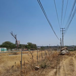 WhatsApp Image 2025-05-19 at 5.53.09 PM (1)