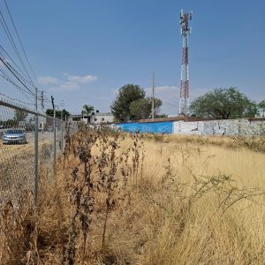 WhatsApp Image 2025-05-19 at 5.53.10 PM (1)