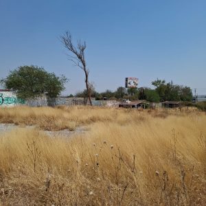 WhatsApp Image 2025-05-19 at 5.53.10 PM