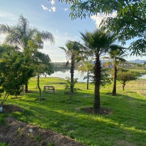 WhatsApp Image 2025-06-19 at 9.01.33 AM