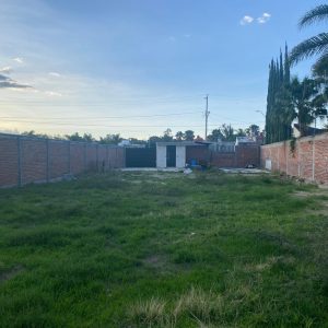 WhatsApp Image 2025-06-19 at 9.01.34 AM (3)