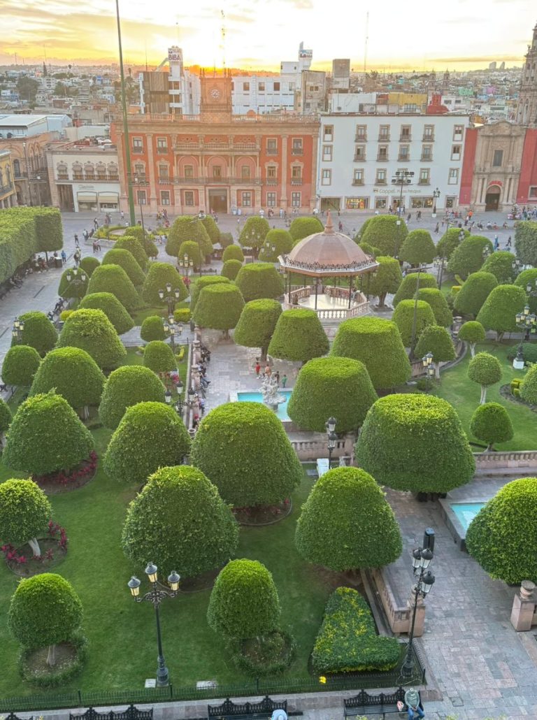 WhatsApp Image 2025-08-08 at 1.46.57 PM