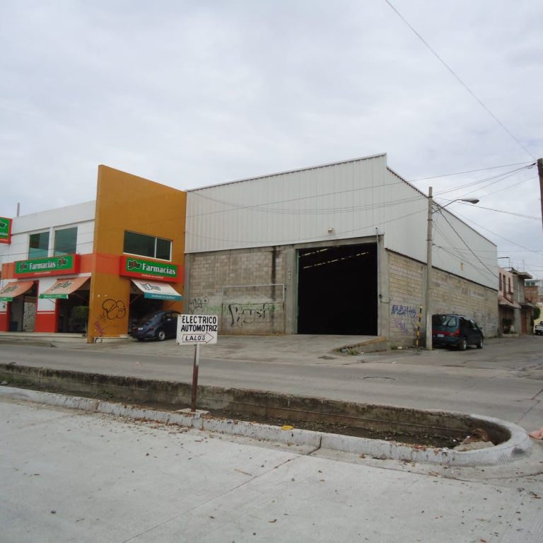 WhatsApp Image 2025-08-11 at 3.38.10 PM