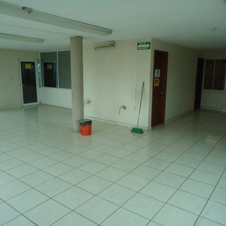 WhatsApp Image 2025-08-11 at 3.38.11 PM (3)