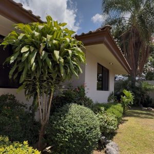 WhatsApp Image 2025-09-02 at 2.48.39 PM (2)