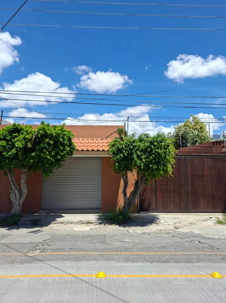 WhatsApp Image 2025-09-18 at 2.46.51 PM