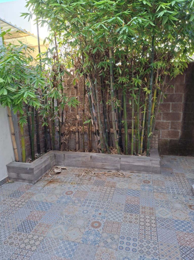 WhatsApp Image 2025-10-21 at 4.22.31 PM