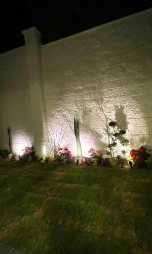 WhatsApp Image 2025-11-28 at 11.24.51 AM (5)