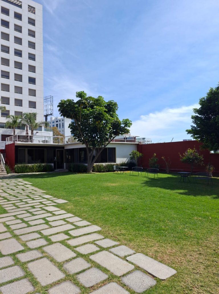 WhatsApp Image 2026-01-19 at 3.34.56 PM