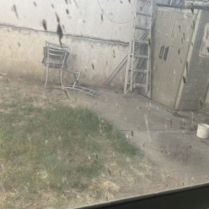 WhatsApp Image 2026-01-26 at 4.19.19 PM (3)