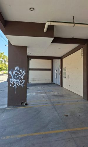 WhatsApp Image 2026-02-04 at 5.22.57 PM (1)