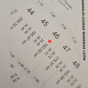 WhatsApp Image 2026-02-24 at 4.16.32 PM (1)